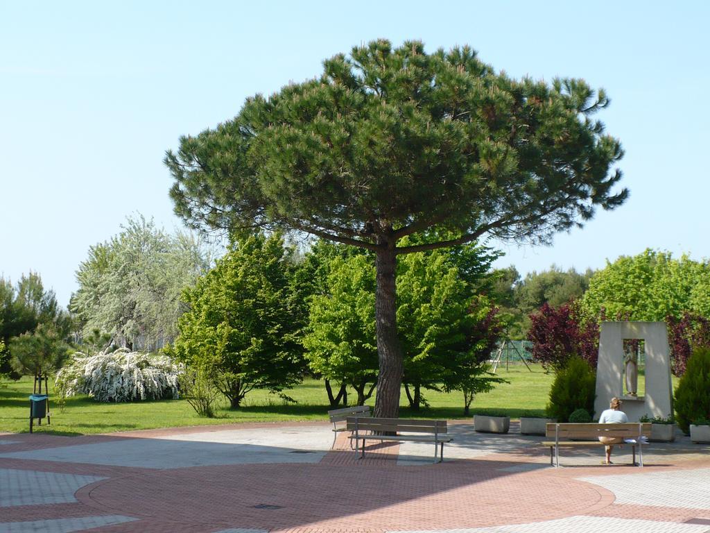 Casa Per Ferie Maria Assunta Hotel Lido di Jesolo Esterno foto